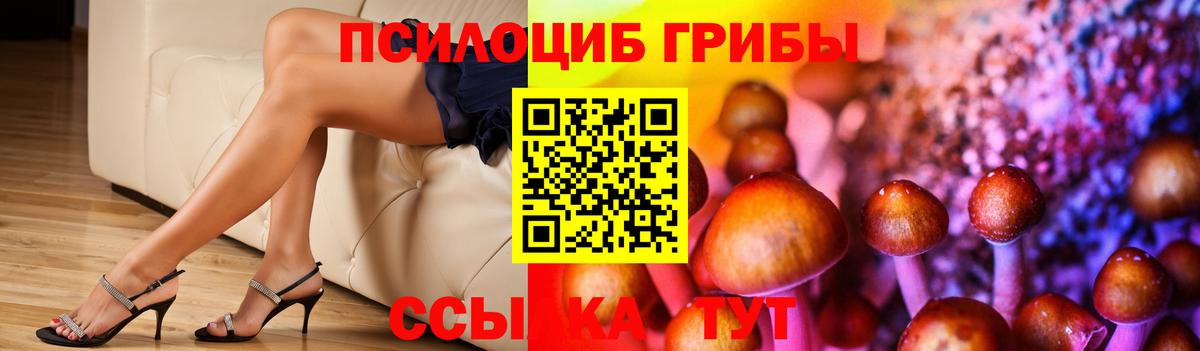 Усинск  как найти   Вход с VPN  Галлюциногенные грибы мухоморы 